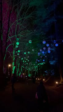 ムーミンバレーパークに投稿された画像（2024/12/25）