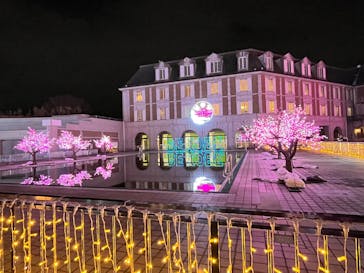 神戸イルミナージュに投稿された画像（2024/12/25）