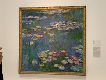 モネ 睡蓮のとき（国立西洋美術館）に投稿された画像（2024/12/26）