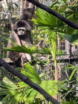 恩賜上野動物園に投稿された画像（2024/12/26）
