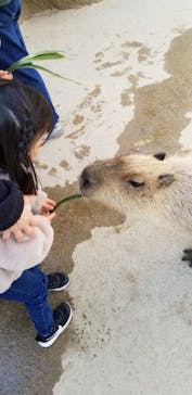 神戸どうぶつ王国に投稿された画像（2024/12/26）
