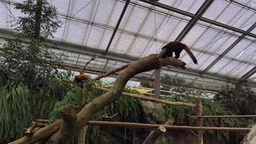 神戸どうぶつ王国に投稿された画像（2024/12/26）