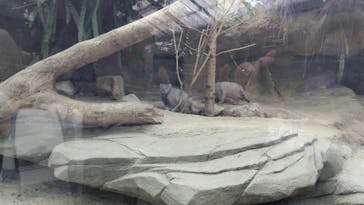 神戸どうぶつ王国に投稿された画像（2024/12/26）