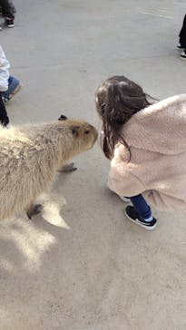 神戸どうぶつ王国に投稿された画像（2024/12/26）