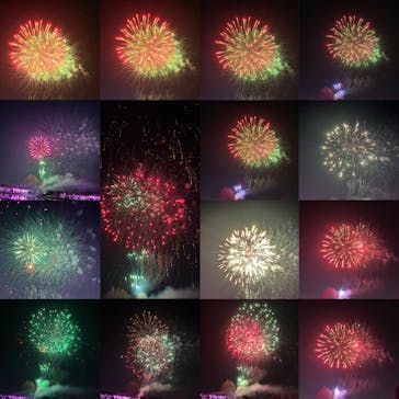 東武動物公園に投稿された画像（2024/12/26）