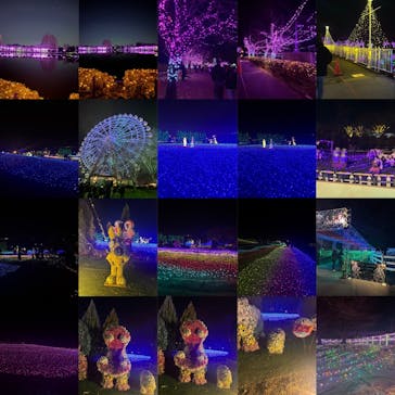 東武動物公園に投稿された画像（2024/12/26）