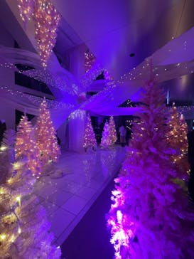 梅田スカイビル・空中庭園展望台に投稿された画像（2024/12/26）