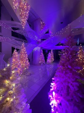 梅田スカイビル・空中庭園展望台に投稿された画像（2024/12/26）