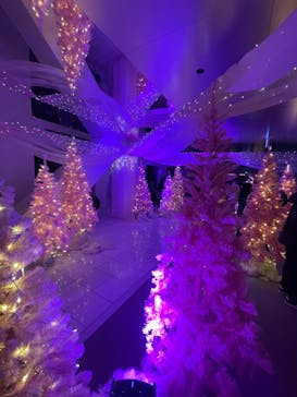 梅田スカイビル・空中庭園展望台に投稿された画像（2024/12/26）