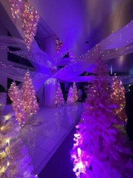 梅田スカイビル・空中庭園展望台に投稿された画像（2024/12/26）