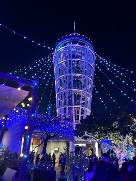 江の島シーキャンドルに投稿された画像（2024/12/26）