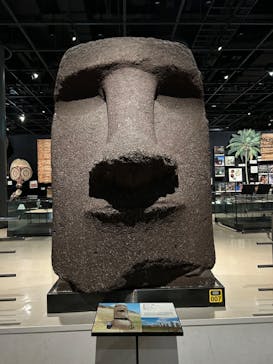 万博記念公園に投稿された画像（2024/12/26）