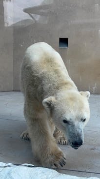恩賜上野動物園に投稿された画像（2024/12/26）