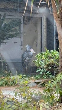 恩賜上野動物園に投稿された画像（2024/12/26）