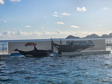 鴨川シーワールドに投稿された画像（2024/12/26）