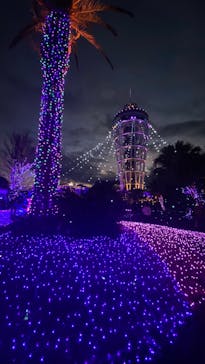 江の島1dayに投稿された画像（2024/12/26）