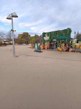 モビリティリゾートもてぎに投稿された画像（2024/12/26）