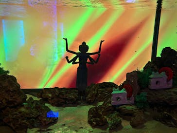 NARA KINGYO MUSEUMに投稿された画像（2024/12/26）