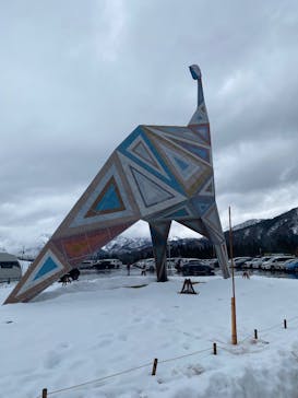 福井県立恐竜博物館に投稿された画像（2024/12/26）