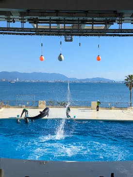 マリンワールド海の中道に投稿された画像（2024/12/26）