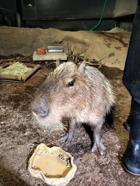 マクセル アクアパーク品川に投稿された画像（2024/12/26）