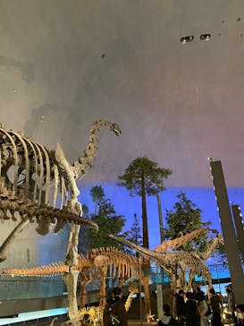 福井県立恐竜博物館に投稿された画像（2024/12/26）