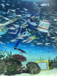 サンシャイン水族館に投稿された画像（2024/12/26）