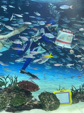 サンシャイン水族館に投稿された画像（2024/12/26）