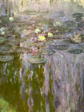 モネ 睡蓮のとき（国立西洋美術館）に投稿された画像（2024/12/26）