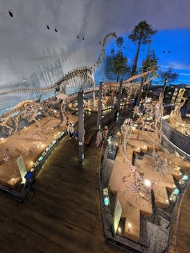 福井県立恐竜博物館に投稿された画像（2024/12/26）