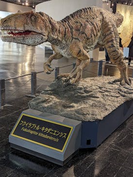 福井県立恐竜博物館に投稿された画像（2024/12/26）