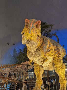 福井県立恐竜博物館に投稿された画像（2024/12/26）