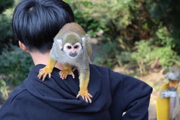 長崎バイオパークに投稿された画像（2024/12/26）