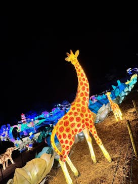 伊豆高原グランイルミに投稿された画像（2024/12/26）