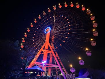 みろくの里に投稿された画像（2024/12/26）