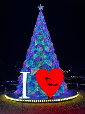 みろくの里に投稿された画像（2024/12/26）