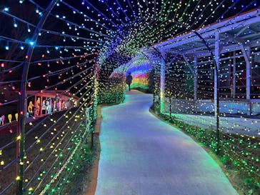 みろくの里に投稿された画像（2024/12/26）