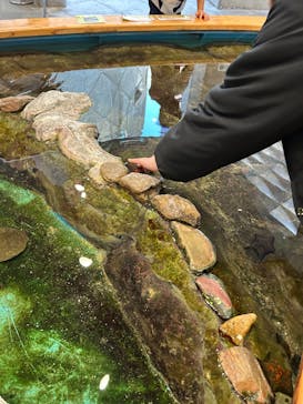 九十九島水族館海きららに投稿された画像（2024/12/26）