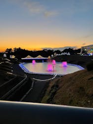 はままつフラワーパークに投稿された画像（2024/12/26）