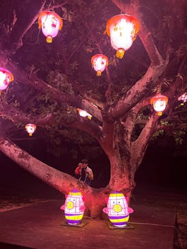 体験王国 むら咲むらに投稿された画像（2024/12/26）