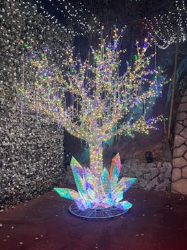 NESTA RESORT KOBE（ネスタリゾート神戸）に投稿された画像（2024/12/26）