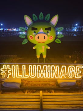 鹿児島イルミナージュに投稿された画像（2024/12/26）