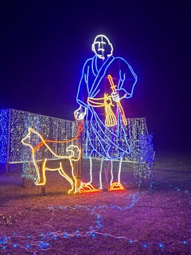 鹿児島イルミナージュに投稿された画像（2024/12/26）