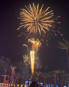 鹿児島イルミナージュに投稿された画像（2024/12/26）