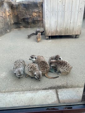 よこはま動物園ズーラシアに投稿された画像（2024/12/26）