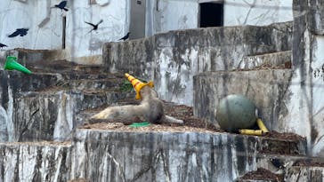 名古屋市東山動植物園に投稿された画像（2024/12/26）