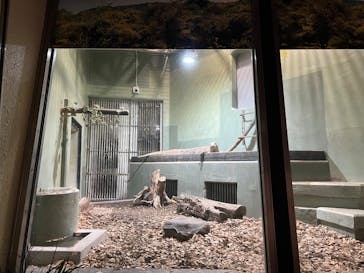 名古屋市東山動植物園に投稿された画像（2024/12/26）