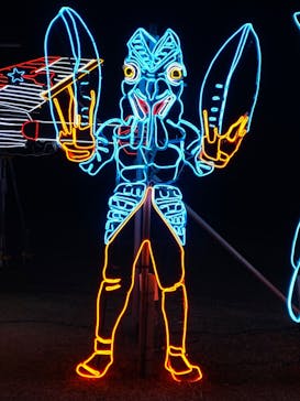 鹿児島イルミナージュに投稿された画像（2024/12/26）