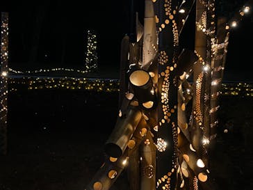 鹿児島イルミナージュに投稿された画像（2024/12/26）