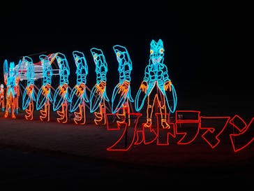 鹿児島イルミナージュに投稿された画像（2024/12/26）